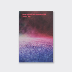 A pink, red, and blue book on a grey background. The title of the book is Antonio Bay.