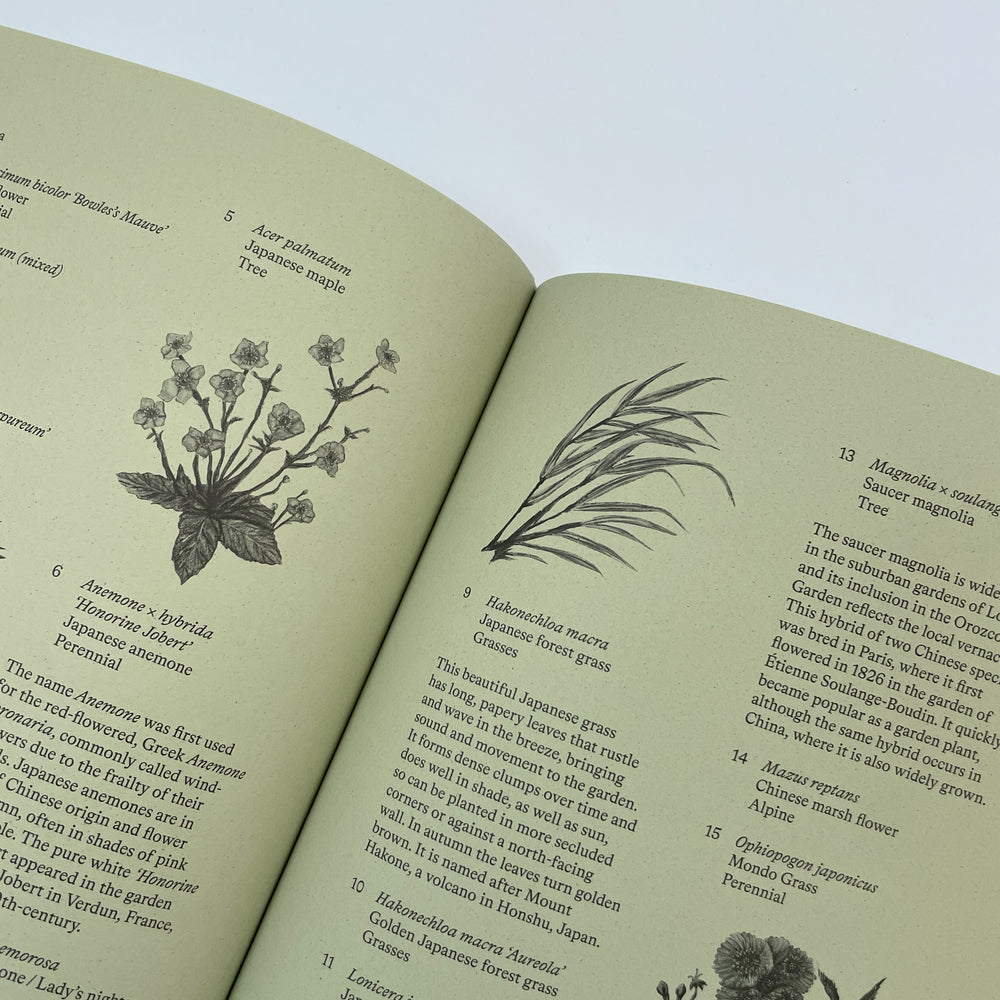 The inside of the SLG's Gabriel Orozco book. Some of the pages are green, with illustrations of flowers on them.