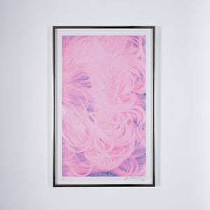 A framed photograph by Rita Keegan of bright pink hair.