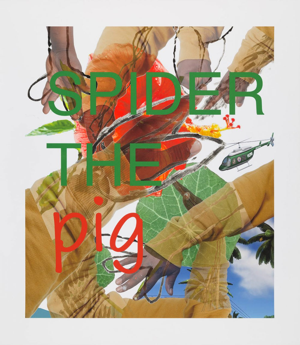 A limited edition artwork by artist Alvaro Barrington. The work is a photograph collage with lots of images of hands, leaves and trees. Over the collage are the words Spider the Pig.