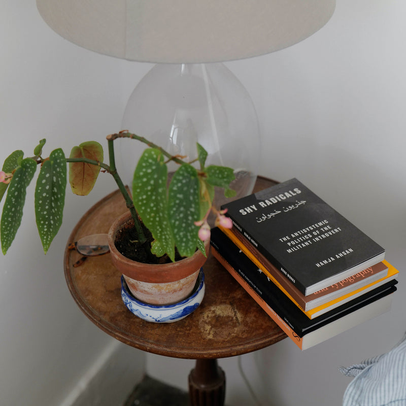 A pile of books on a bedside table. Beside them is a plant and a lamp.