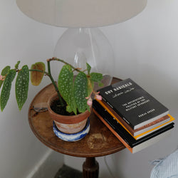 A pile of books, plant and lamp sit on a brown wooden bedside table. 