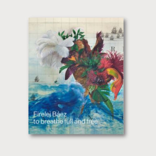 Book cover on a pale grey background. The cover shows a fragment of a painting, with a surreal conglomeration of plants and feathers in the foreground, over a background of a bright blue sea with tall waves. The book is about the work of the artist Firelei Báez.