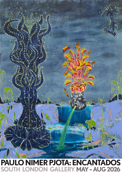 Paulo Nimer Pjota: Encantados - Exhibition Poster