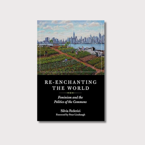 Book cover of 'Re-Enchanting the World' by Silvia Federici on a light gray background