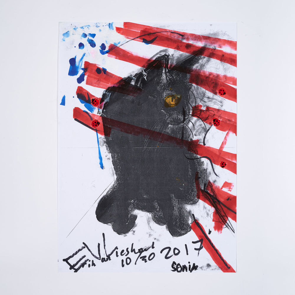 A limited artist edition by artist Erik van Lieshout. An image of a black cat is shown on top of an american flag. It is signed by the artist.