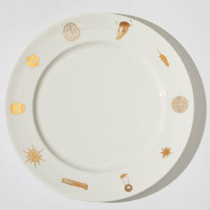A white plate with gold illustrations on a white background. The illustrations are of different images including a jellyfish, a rat, a brain, a skull and a flower.
